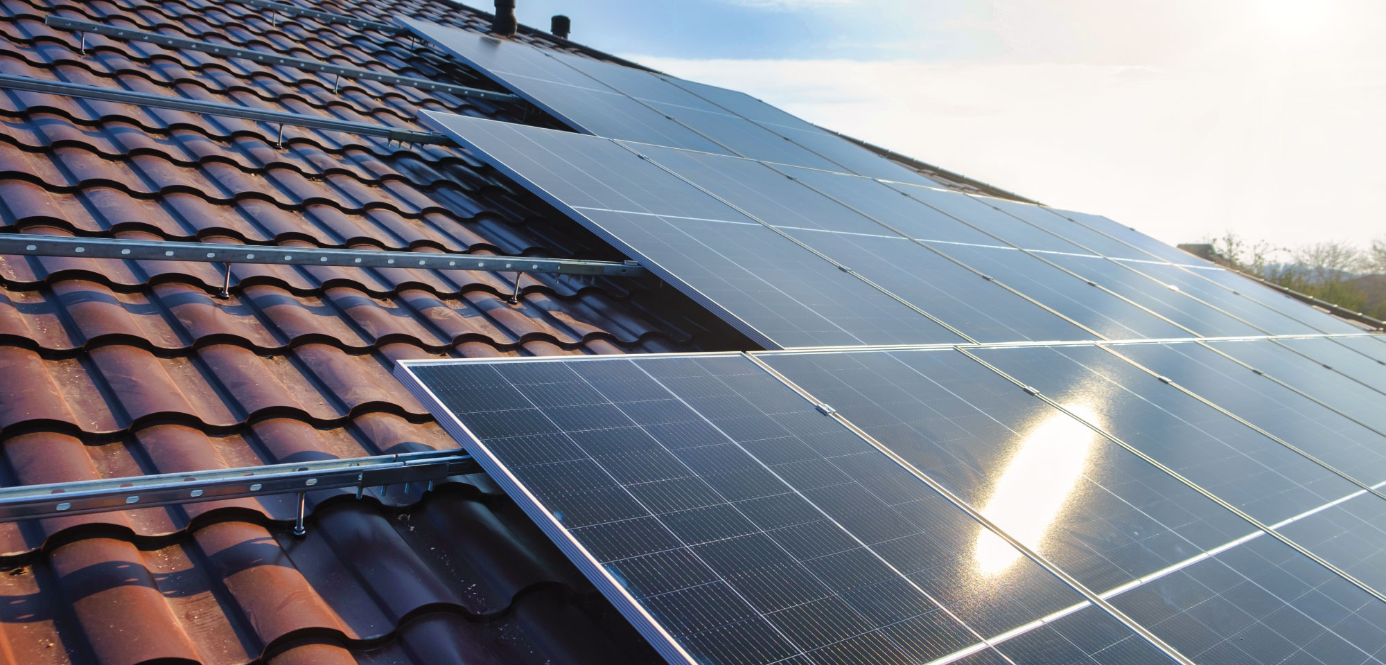 Top 5 cheap solar panels in 2024