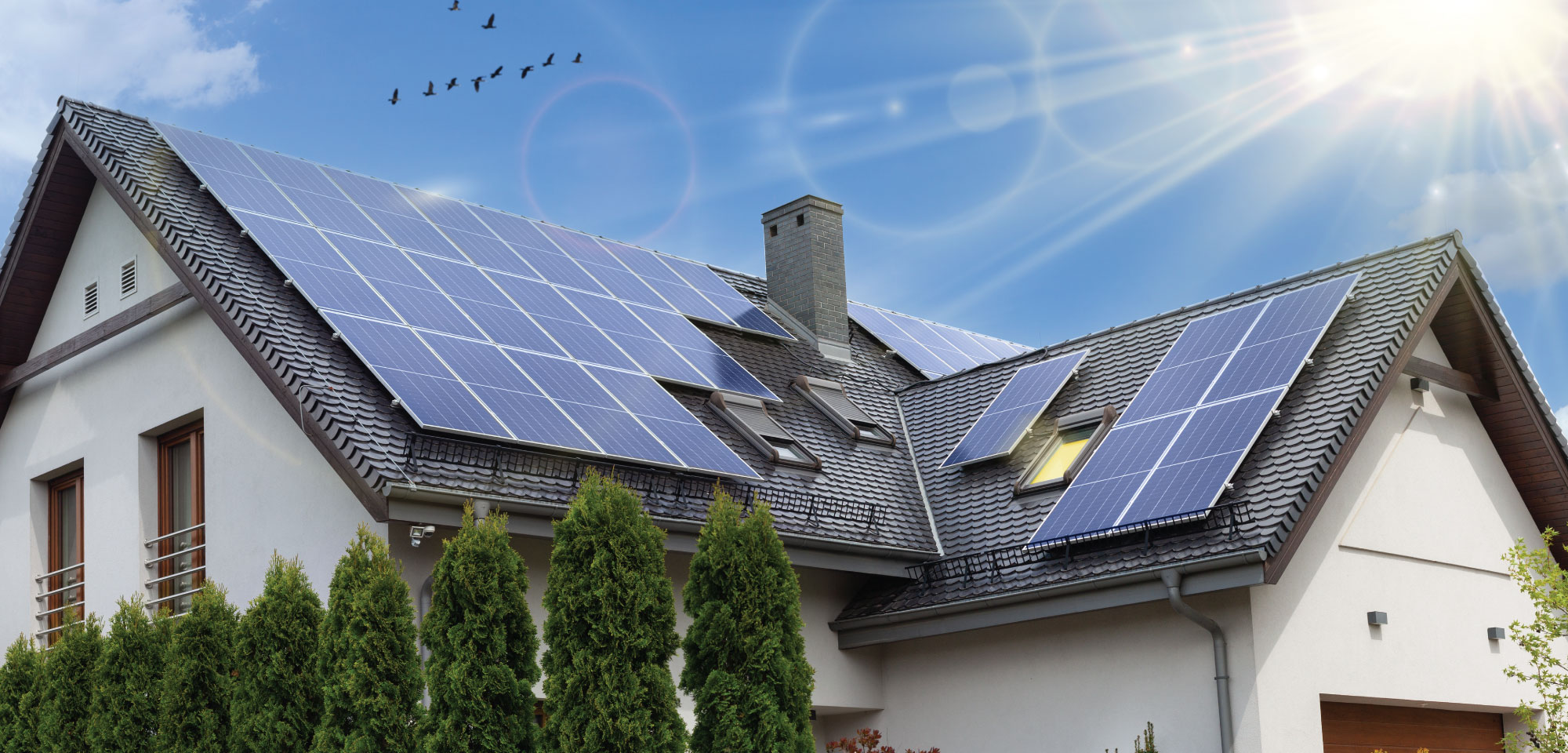 How Much Money Do Solar Panels Save in 2024?