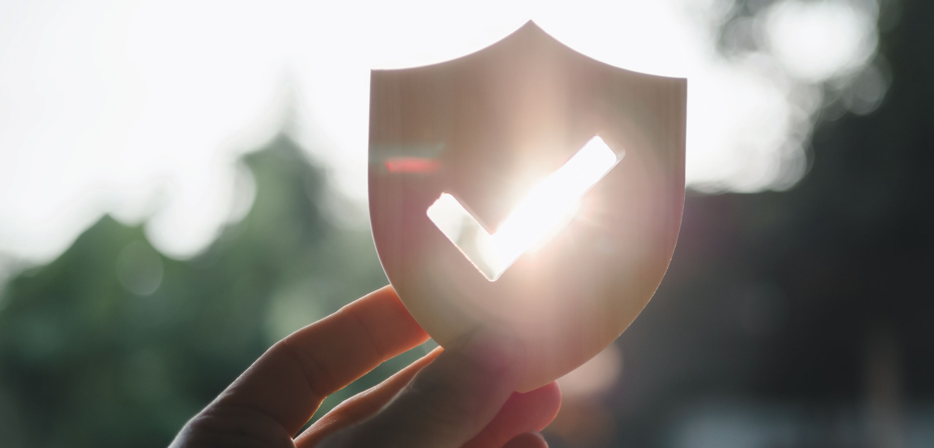 The ultimate guide to solar panel warranties